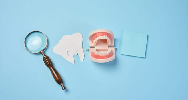 Plastic human jaw with white teeth, magnifying glass, oral cavity prevention, top view