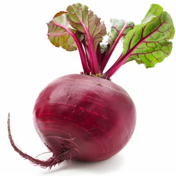 Fresh beetroot with leaves isolated on white background