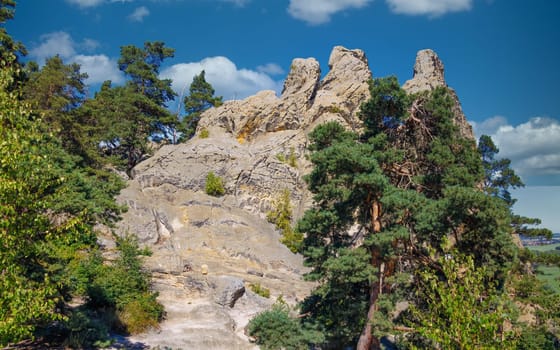 Part of the Devil's Wall (Teufelsmauer), a rock formation made of sandstone, Harz Mountains, Germany