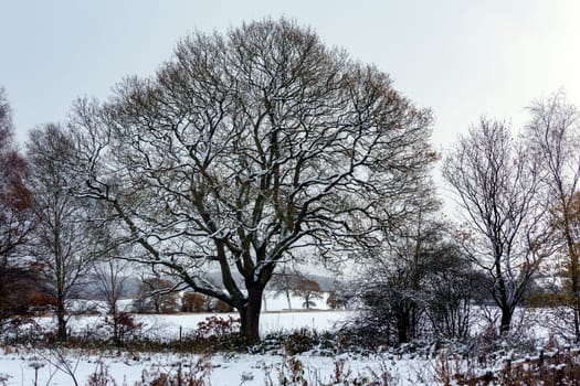 Winter landscape in the countryside of North Yorkshire in the United Kingdom.