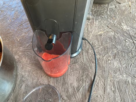 Production of homemade plum the juice