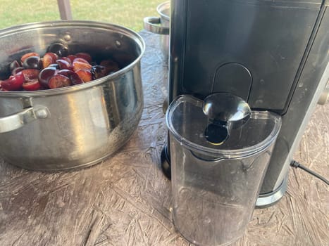Production of homemade plum the juice