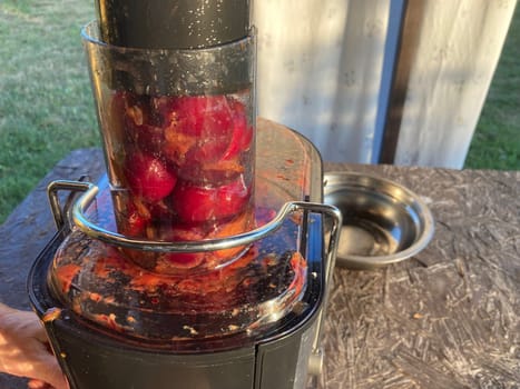 Production of homemade plum the juice