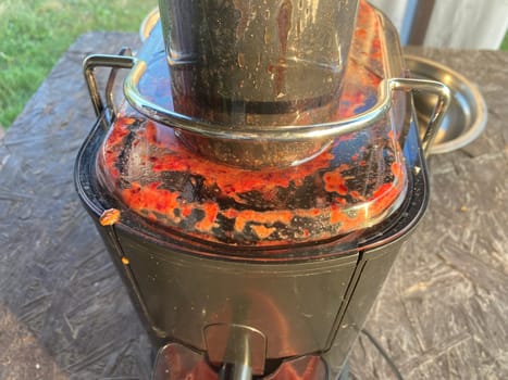 Production of homemade plum the juice
