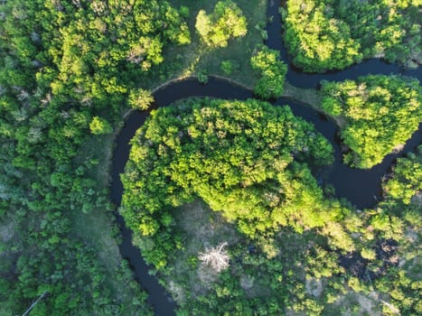 Aerial drone shot of summer june landscape with river