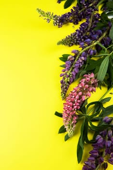 Yellow paper mockup for text with decor made of flower lupine