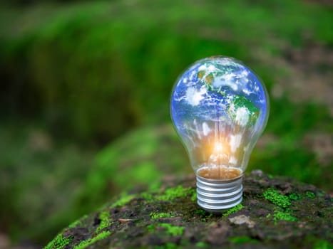 Light bulbs placed on the ground on a green natural background, Concepts of renewable energy innovation and a green world, Sustainable clean energy sources, Environmental protection.