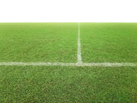 Soccer line in green grass of soccer field