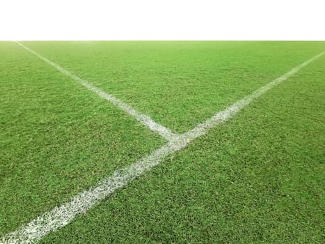 Soccer line in green grass of soccer field