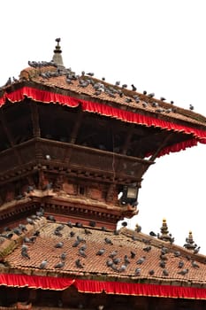 Many pigeons on the roof of one of the temples at Durbar Square, Kathmandu, Nepal 2022