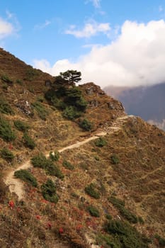 Trail along a steep hill on the way to the Mount Everest view point above Namche Bazar, Bazaar, Ama Dablam is completely covered with clouds, Mount Everest Basecamp Trek, EBC, Nepal 2022