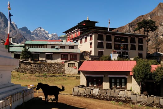 The tibetan buddhist monastery in Tengboche, Tangboche village, the silhouette of a resting horse next to a stupa can be seen in the foreground, Mount Everest Base Camp Trek, EBC, Nepal 2022