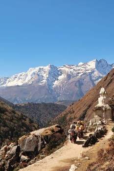 Loaded yaks walking up the trail to Pangboche next to a stupa, in the back Tengoche, Tangboche village in front of Mount Kongde Ri, Mount Everest Base Camp Trek, EBC, Nepal 2022