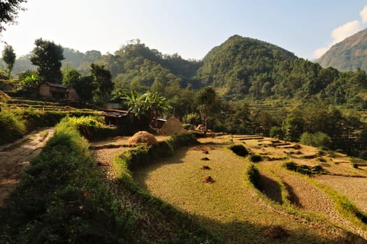 Walking throught the farmland, rice terraces, fields, paddies outside of Bahundanda village, Annapurna Circuit Trek, Nepal 2022
