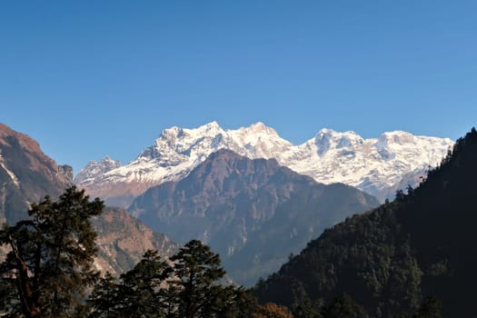 View onto the snow capped peak of Mount Manaslu from the trail leading up to Timang village, Annapurna Circuit Trek, Nepal 2022