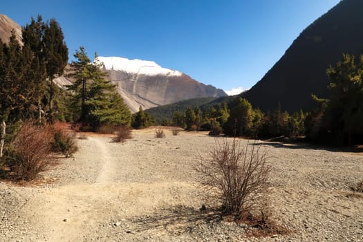 On the trail between Dhukur, Dhikur Pokhari and Upper Pisang looking back to the smooth western rock face of Paungda Danda, the Great Wall of Pisang, Annapurna Circuit Trek, Nepal 2022