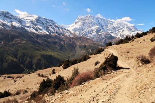 On the trail from Upper Pisang, Ghyaru village to Manang, the majestic snow capped peak of Annapurna III is rising in the background, Annapurna Circuit Trek, Nepal 2022