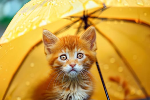 The cat sitting under yellow umbrella in the rainy day. AI generated