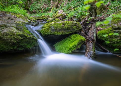 A small stream in Woodland