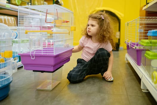 Little girl child sitting nearby cage for rodent at pet shop searching new home for her adorable domestic animal