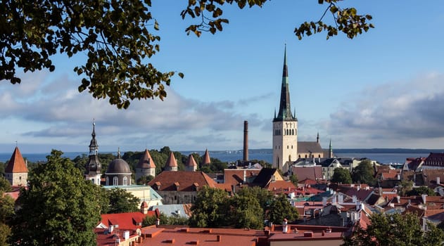 The city of Tallinn in Estonia. The Old Town is one of the best preserved medieval cities in Europe and is a UNESCO World Heritage Site.  Tallinn is the capital of Estonia, and a major port on the Gulf of Finland.