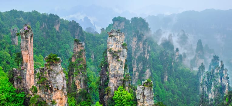 Famous tourist attraction of China - Zhangjiajie stone pillars cliff mountains in fog clouds at Wulingyuan, Hunan, China