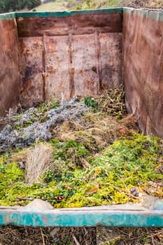 Large container with green waste in public park, recycling or plants, composting