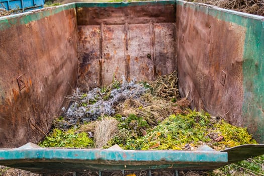 Large container with green waste in public park, recycling or plants, composting