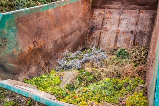 Large container with green waste in public park, recycling or plants, composting