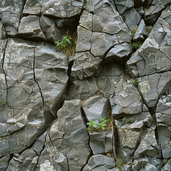A cracked grey stone surface with green plants sprouting through