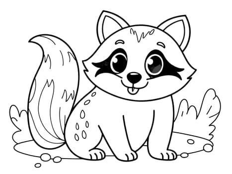 Funny cute closeup of raccoon