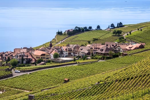 Vineyards and the village of St Saphorin in the north shore of Lake Geneva in the La Cote wine producing area of the Vaud canton of Switzerland.