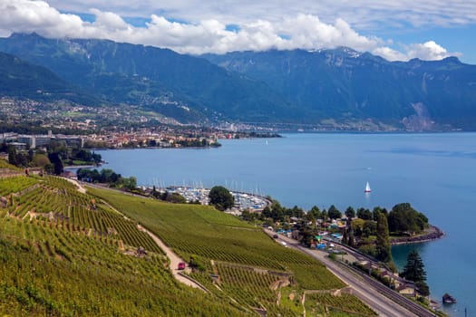 Vineyards and the city of Lausanne on the north shore of Lake Geneva in the La Cote wine producing area of the Vaud canton of Switzerland.