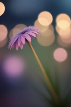 A single, delicate purple flower with dew drops on its petals stands tall against a soft, out-of-focus background of warm bokeh lights.