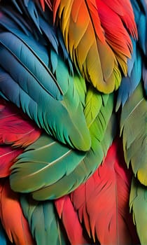 A close-up view of a bird's feathers. The feathers are arranged in an overlapping pattern, showing off their vibrant colors of green, red, and blue. The texture of the feathers is visible, highlighting their natural beauty.