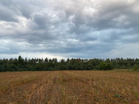 Panorama of sunrise at dawn in a the field