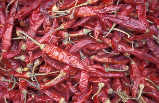 red chili at a food market in the city of Mysore in the Province of Karnataka in India.  India, Mysore, March, 1998
