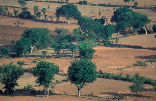 The Landscape with fields and agriculture near the town of Hampi in the Province of Karnataka in India.  India, Karnataka, March, 1998
