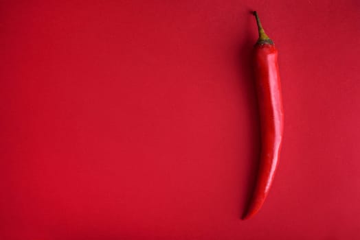 Food background flat lay. Red hot chili pepper on red background from above. Minimal creative still life with mexican spicy paprika.