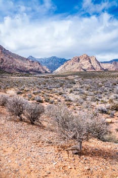 View of the desert and the mountains near Red Rock Canyon in Las Vegas, Nevada