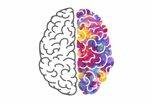 Watercolor brain, left and right hemispheres. Vector