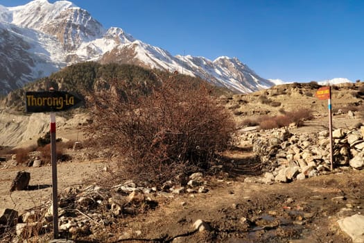 Two signposts at the junction, fork after Manang mark the trails to Thorung, Thorong La and Tilicho Lake, Annapurna Circuit Trek, Nepal 2022