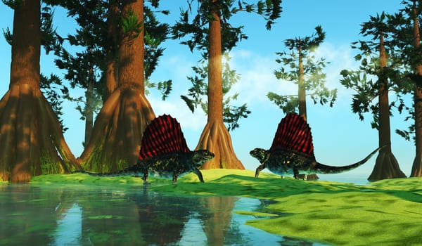 Dimetrodon was a mammal-like sailback reptile that lived in the Permian Period of North America and Europe.