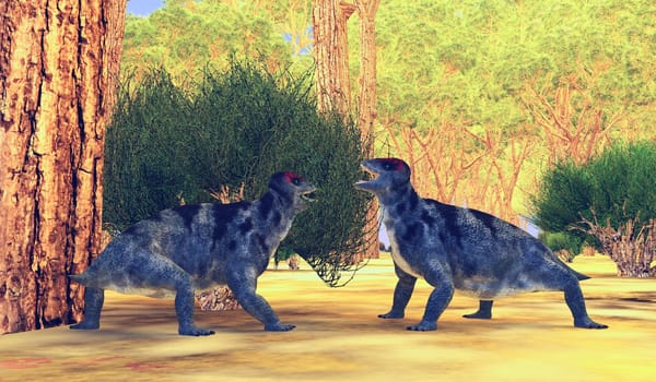 Criocephalosaurus was a therapsid animal that lived during the Permian Period of South Africa.