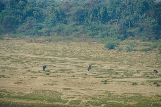 Of India, Agra Yamuna river and the riverbed. Shooting Location: India