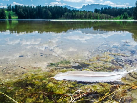 Wide angle view over the Koegelweiher with a seagull's feather lying on the water's edge in the foreground and the first foothills of the German high Alps in the background in summer.