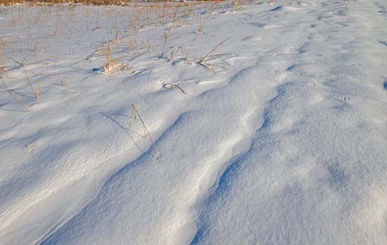 Refrozen Tracks on a Winter Trail in the Paul Douglas Preserve in Illinois