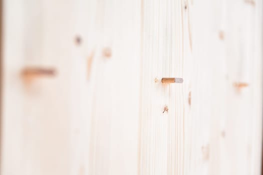 Close up of wooden dowel pins joining wood planks in a carpentry workshop. The shallow depth of field highlights the texture of the wood
