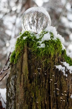 Glass ball on snow-covered rotten tree stump on a cold winter day in the forest, with reflections of trees in the glass