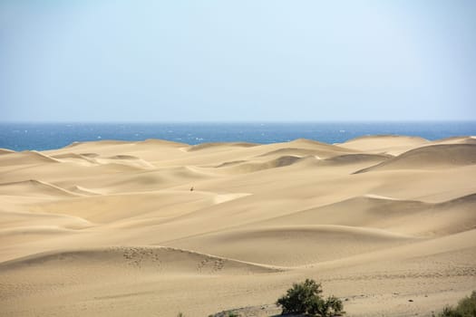 The dunes of Maspalomas on Gran Canaria in Spain, with sea and blue sky. The huge sand dunes resemble a small desert and are a nature reserve.,The dunes of Maspalomas on Gran Canaria in Spain, with sea and blue sky. The huge sand dunes resemble a small desert and are a nature reserve.